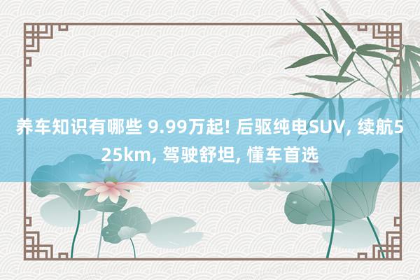 养车知识有哪些 9.99万起! 后驱纯电SUV, 续航525km, 驾驶舒坦, 懂车首选