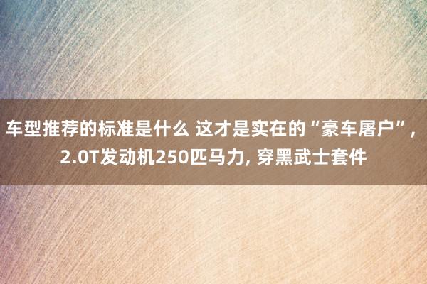 车型推荐的标准是什么 这才是实在的“豪车屠户”, 2.0T发动机250匹马力, 穿黑武士套件