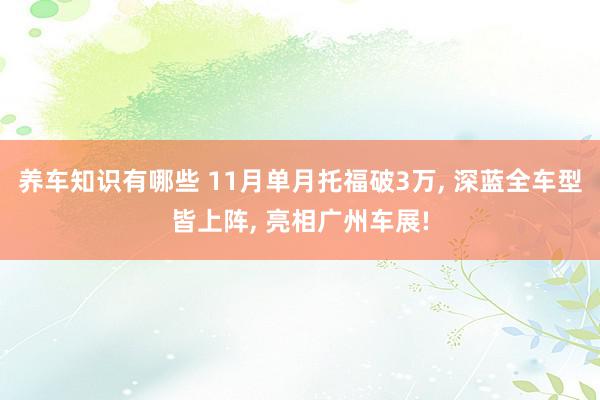 养车知识有哪些 11月单月托福破3万, 深蓝全车型皆上阵, 亮相广州车展!