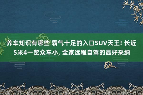 养车知识有哪些 霸气十足的入口SUV天王! 长近5米4一览众车小, 全家远程自驾的最好采纳