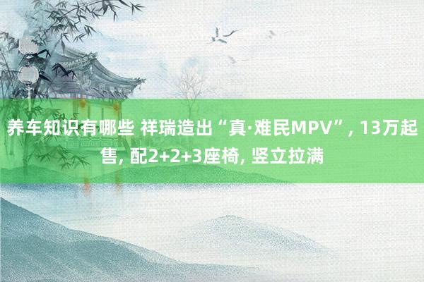 养车知识有哪些 祥瑞造出“真·难民MPV”, 13万起售, 配2+2+3座椅, 竖立拉满