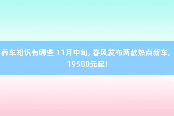 养车知识有哪些 11月中旬, 春风发布两款热点新车, 19580元起!