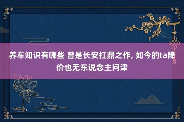 养车知识有哪些 曾是长安扛鼎之作, 如今的ta降价也无东说念主问津