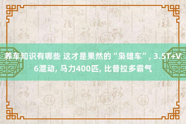 养车知识有哪些 这才是果然的“枭雄车”, 3.5T+V6混动, 马力400匹, 比普拉多霸气