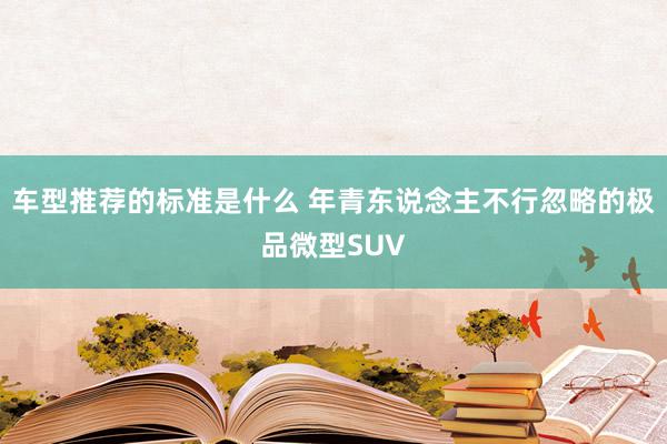 车型推荐的标准是什么 年青东说念主不行忽略的极品微型SUV