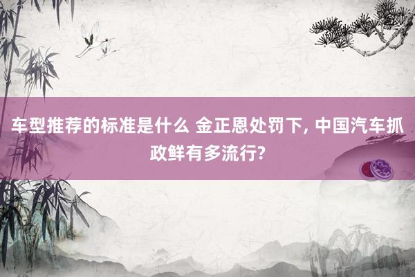 车型推荐的标准是什么 金正恩处罚下, 中国汽车抓政鲜有多流行?