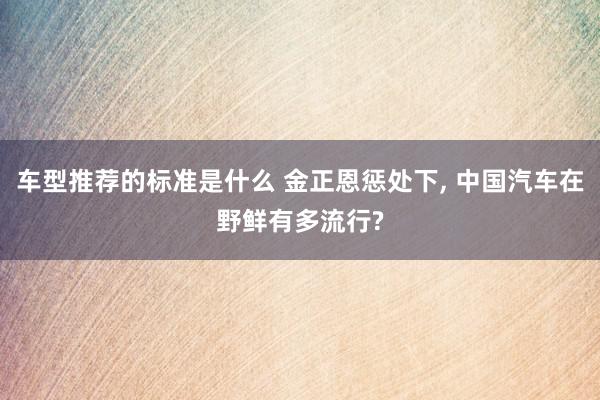 车型推荐的标准是什么 金正恩惩处下, 中国汽车在野鲜有多流行?