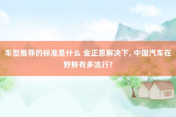 车型推荐的标准是什么 金正恩解决下, 中国汽车在野鲜有多流行?