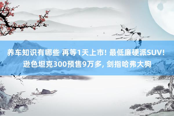 养车知识有哪些 再等1天上市! 最低廉硬派SUV! 逊色坦克300预售9万多, 剑指哈弗大狗