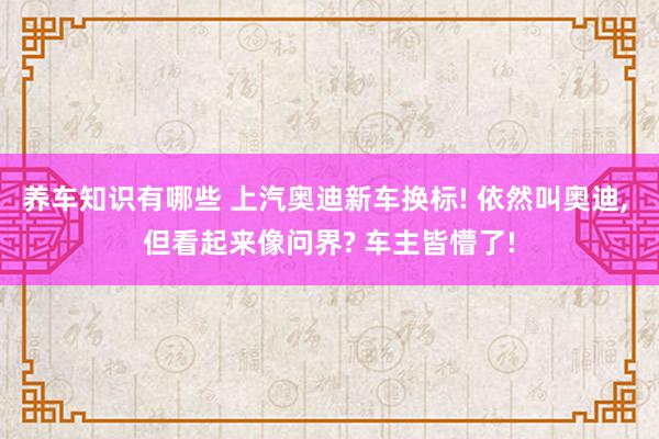 养车知识有哪些 上汽奥迪新车换标! 依然叫奥迪, 但看起来像问界? 车主皆懵了!