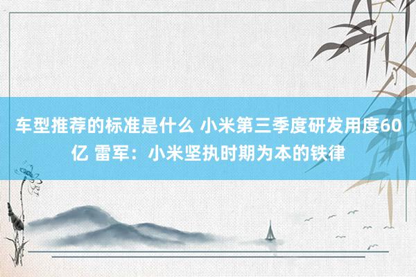 车型推荐的标准是什么 小米第三季度研发用度60亿 雷军：小米坚执时期为本的铁律