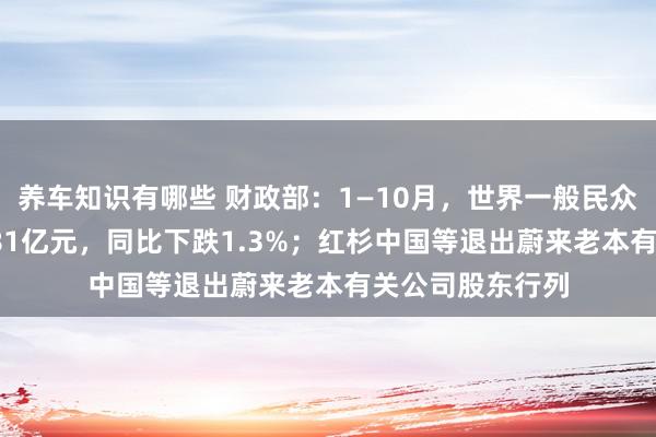 养车知识有哪些 财政部：1—10月，世界一般民众预算收入184981亿元，同比下跌1.3%；红杉中国等退出蔚来老本有关公司股东行列