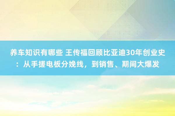 养车知识有哪些 王传福回顾比亚迪30年创业史：从手搓电板分娩线，到销售、期间大爆发