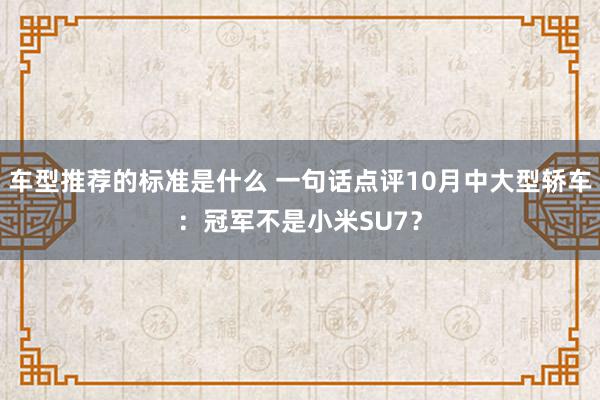 车型推荐的标准是什么 一句话点评10月中大型轿车：冠军不是小米SU7？