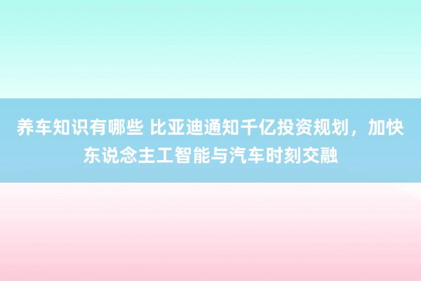 养车知识有哪些 比亚迪通知千亿投资规划，加快东说念主工智能与汽车时刻交融