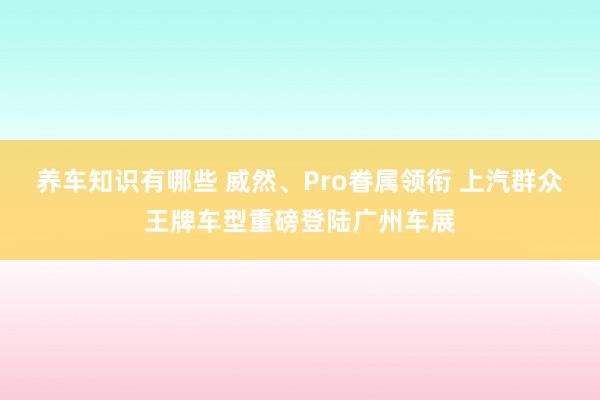 养车知识有哪些 威然、Pro眷属领衔 上汽群众王牌车型重磅登陆广州车展