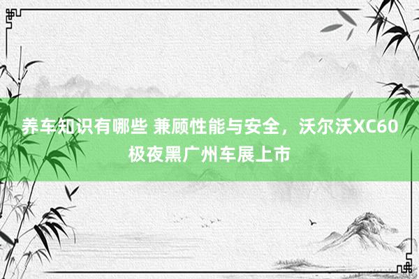 养车知识有哪些 兼顾性能与安全，沃尔沃XC60极夜黑广州车展上市